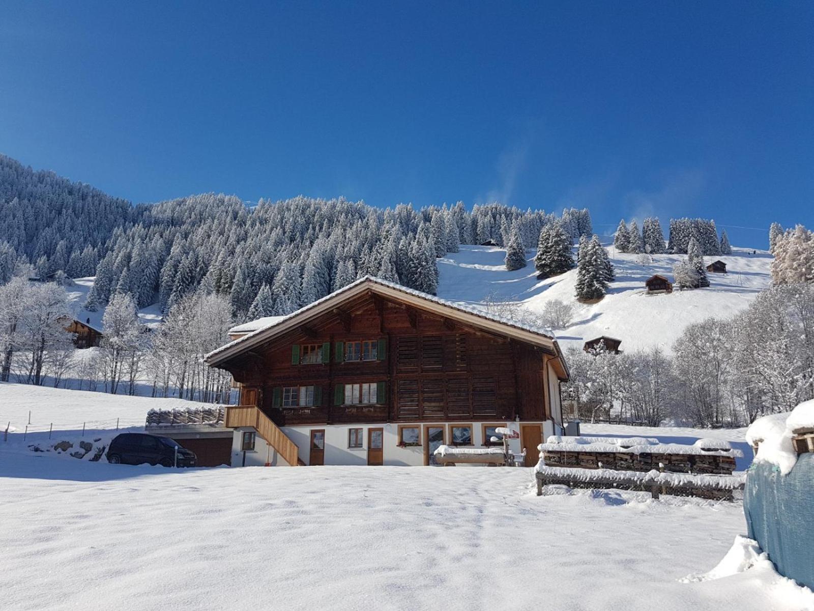 Bnb Fellacher Adelboden Exterior foto
